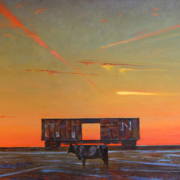 'Box Cow Alberta' 36 X 48 in. oil on canvas - Mountain Galleries