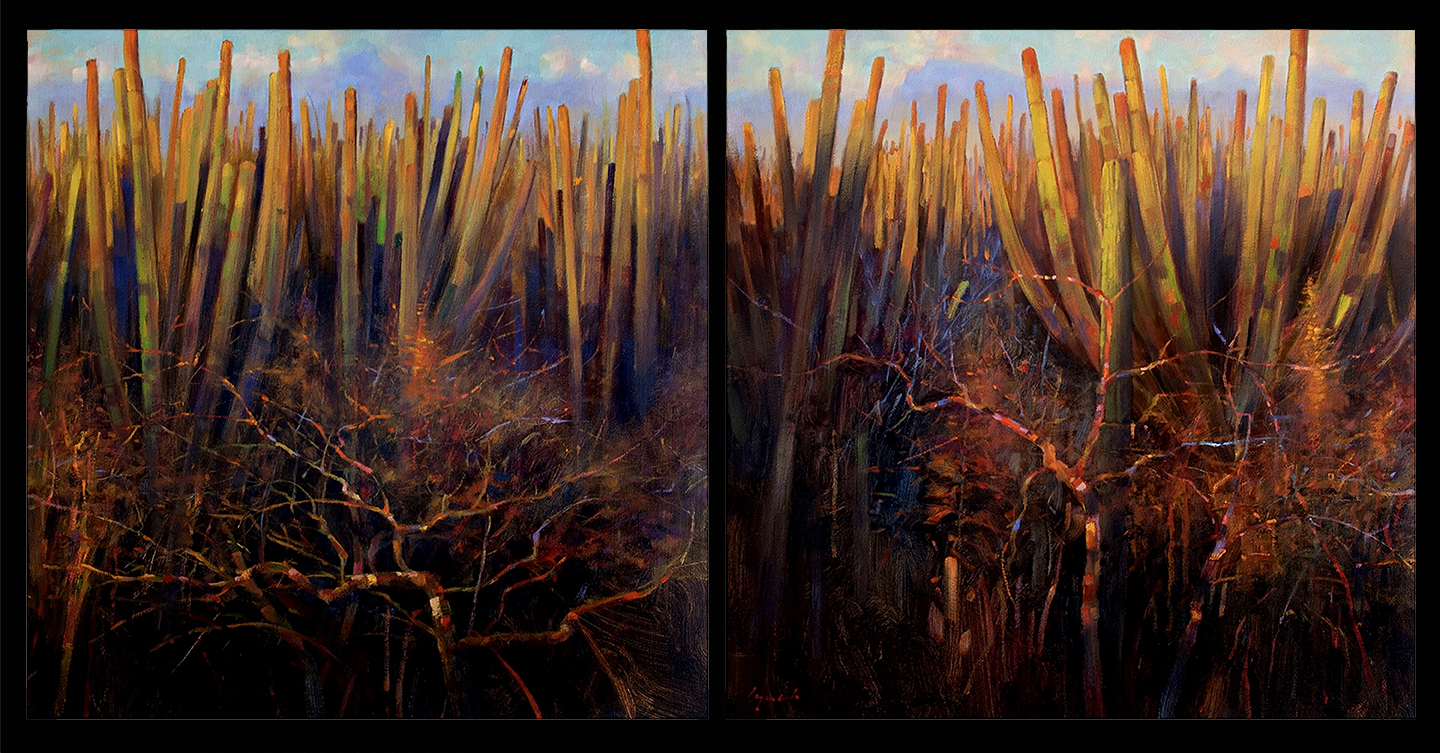 Cactus Forest 48 X 48 X 2. sold by Ida Victoria Gallery
